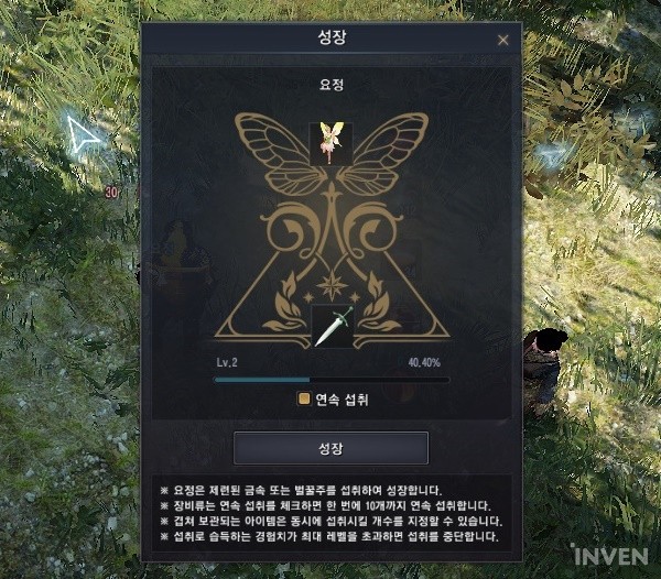 A new companion with many useful buffs! The Fairy comes to BDO NA/EU