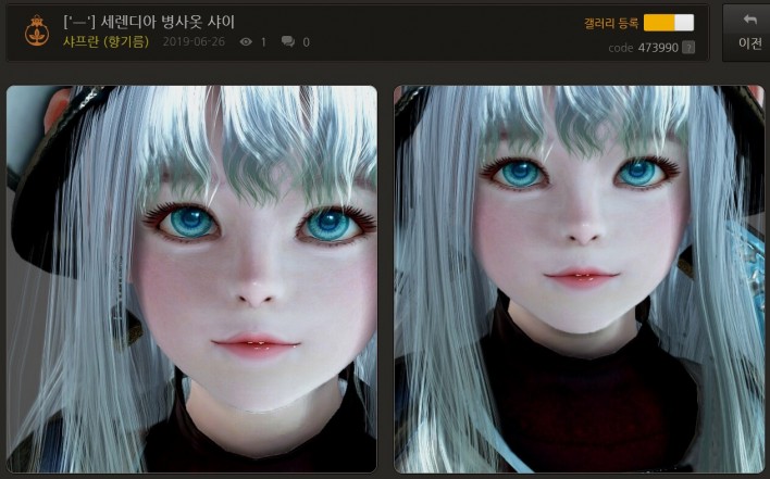 black desert online character template install