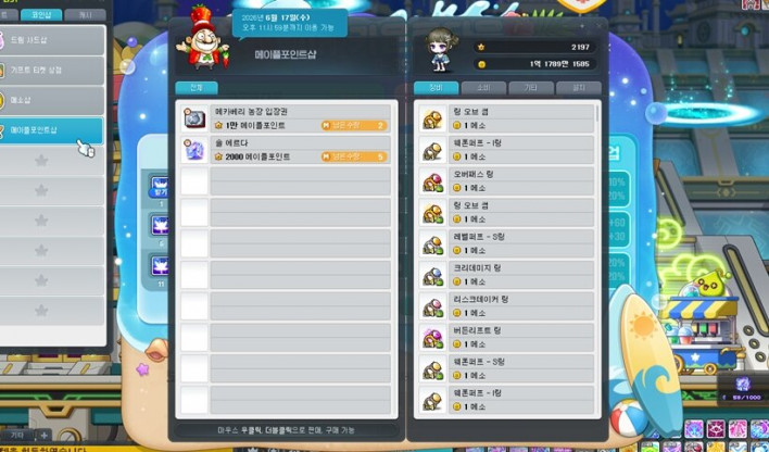 메이플스토리 Maple story
