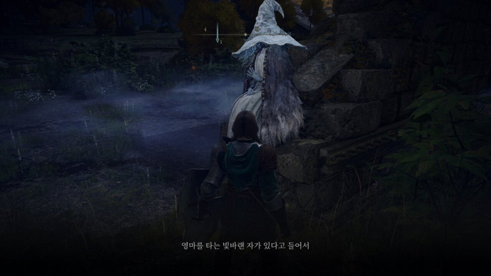 엘든 링: 빛바랜 자 에디션 Elden Ring: Tarnished Editon