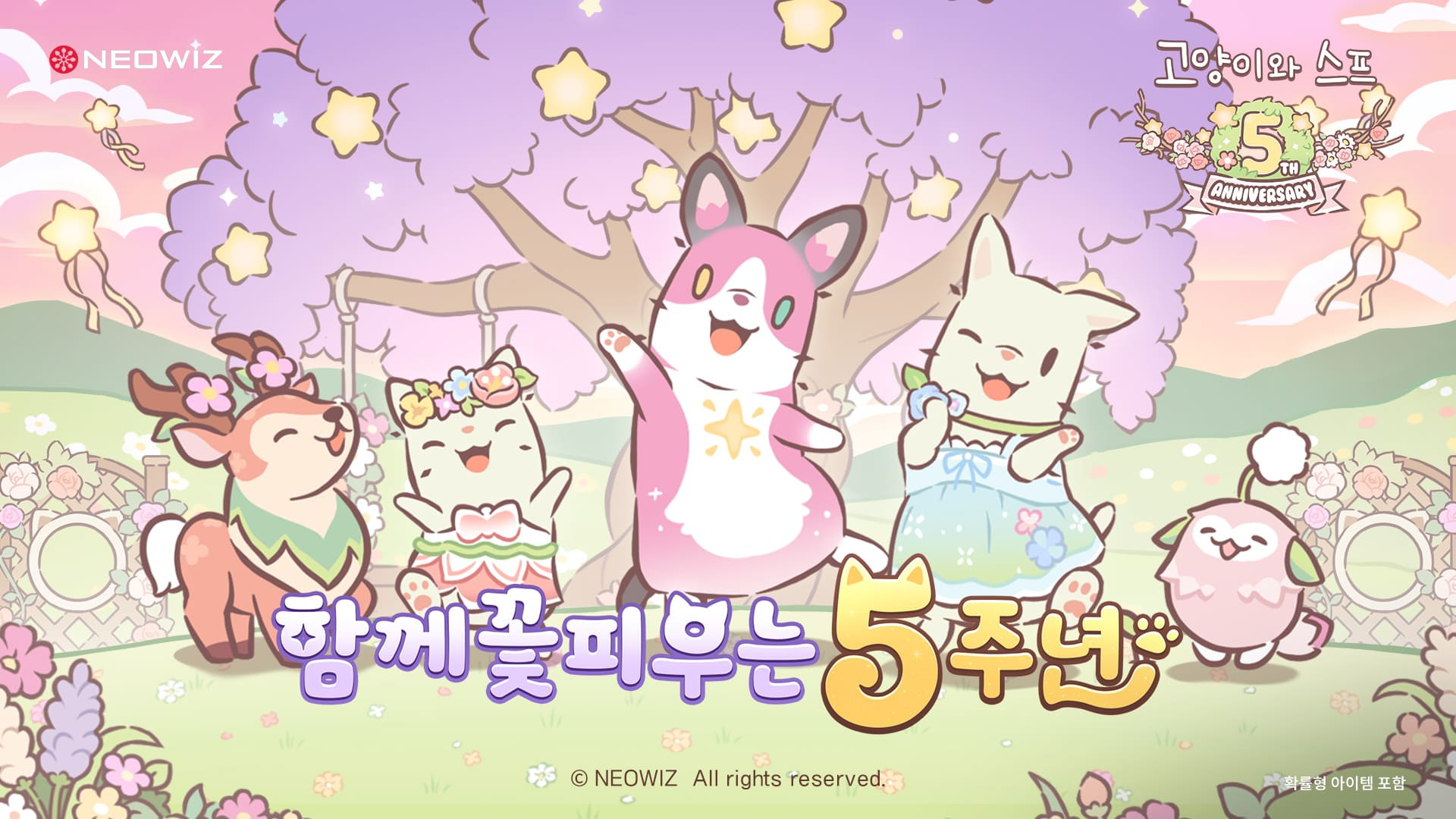 '고양이와 스프' 5주년, 별고양이 축제 연다
