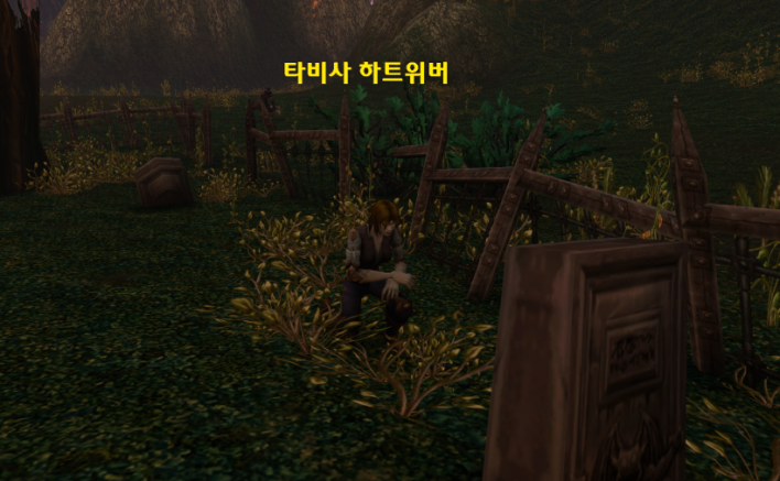 월드 오브 워크래프트: 포에버 World of Warcraft: Forever